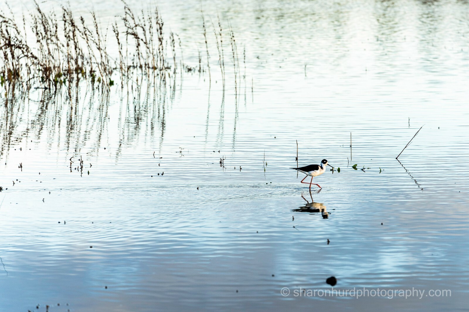 Landscape photography print nature wall deco
