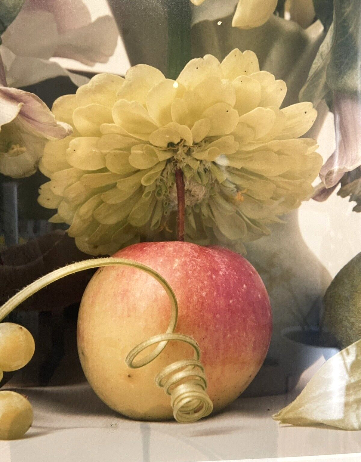 Jill Bedford Photography: Apple (2002), Signed, Archival Quality 28in X 22in