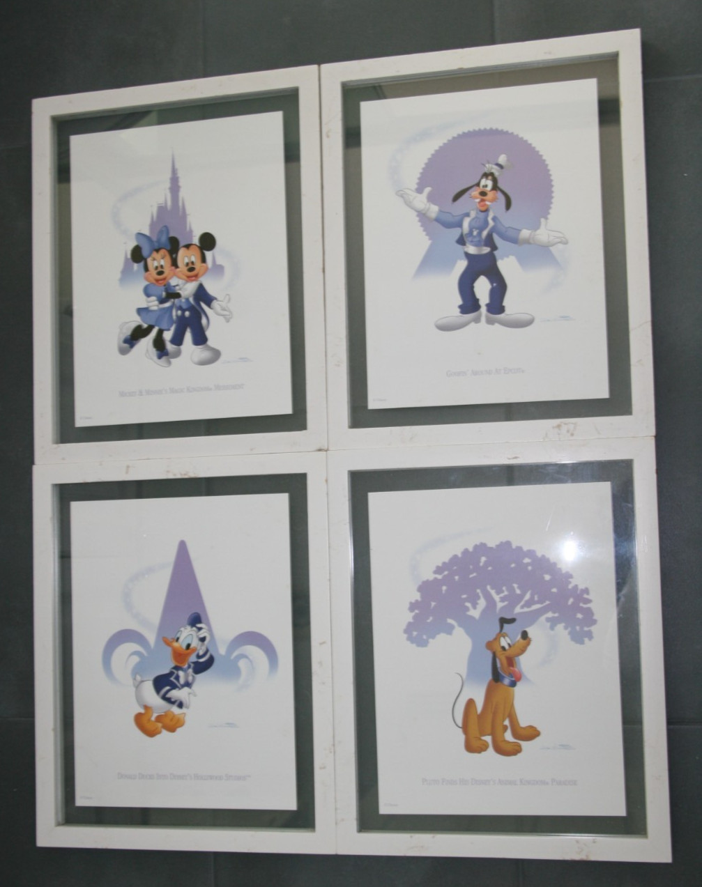 Disney Pluto Animal Kingdom Donald Duck Hollywood Studios Goofy Epcot Lith Set