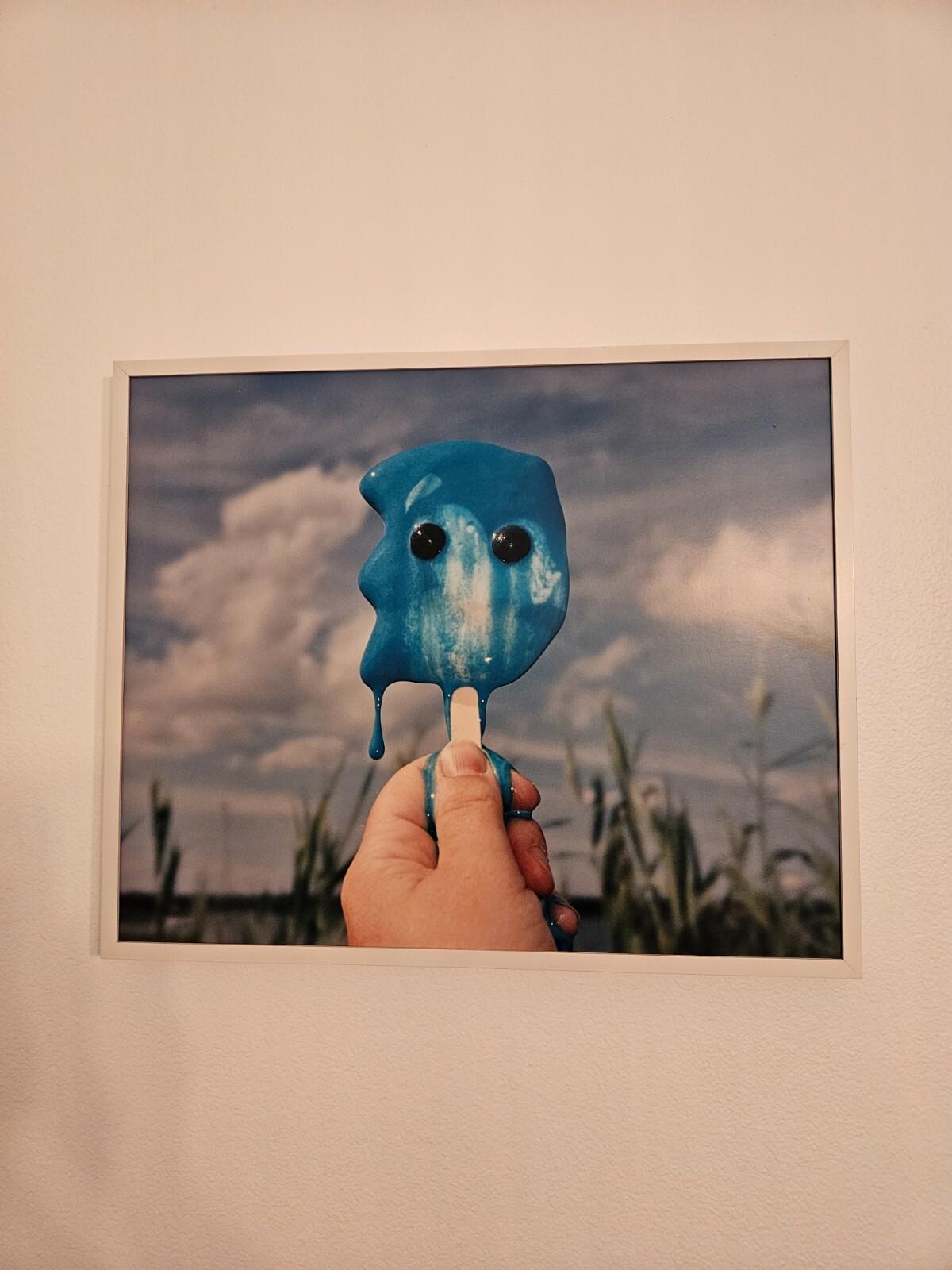 Contemporary Photo Art by Meredith Allen – Melting Ice Pops