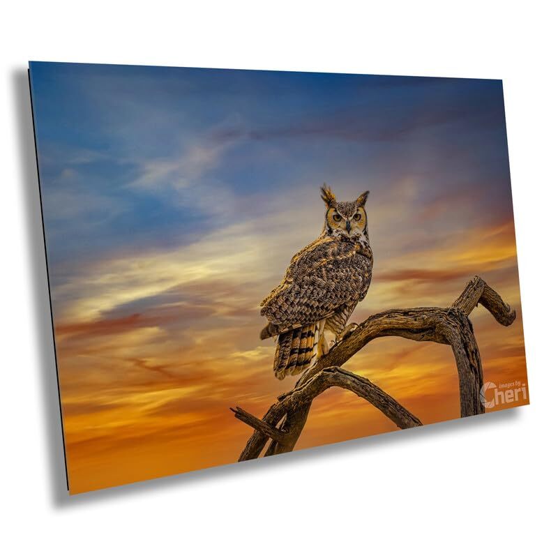 Silent Vigil: Great Horned Owl On a Branch Bird Print Wall Art