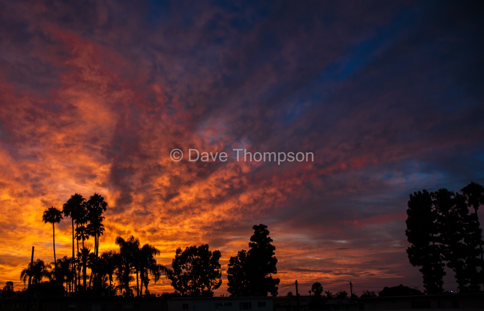 Sunset in Los Angeles Fine Art Print – unframed