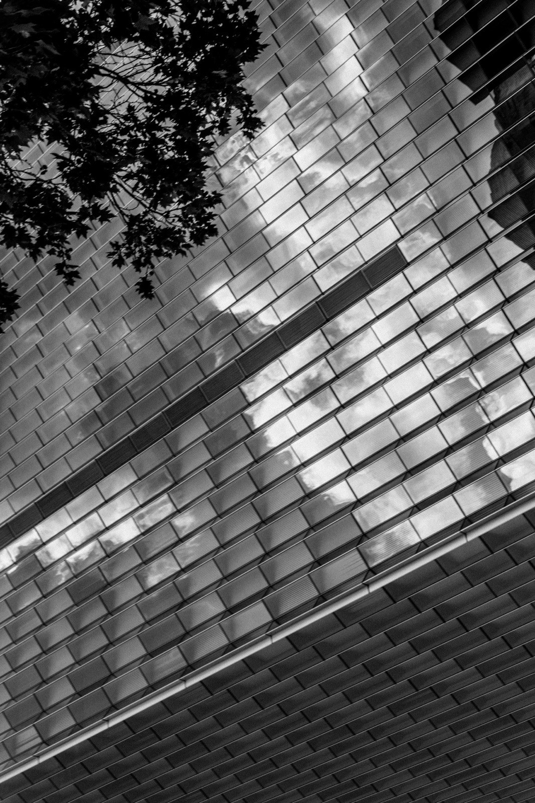 Los Angeles Cityscape art Photography B+W 8×12″ Archival Lustre Print