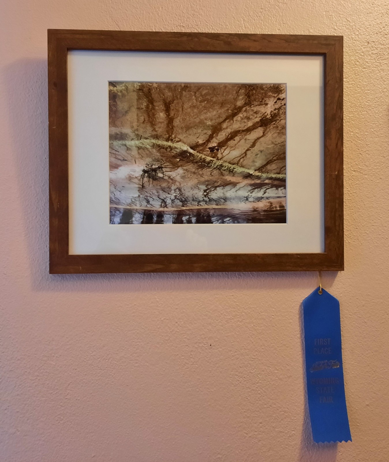 Matted Photograph: Earth Patterns