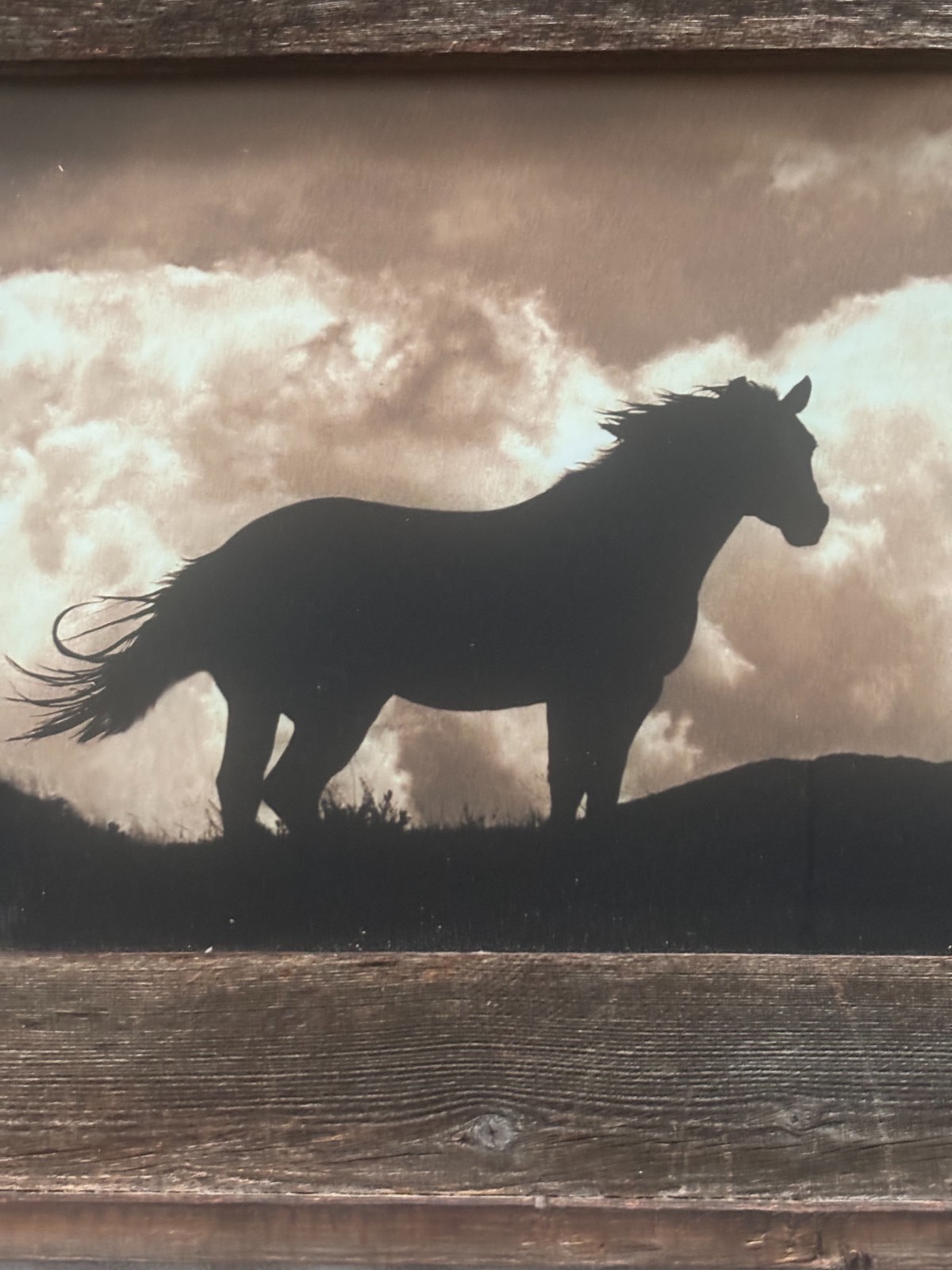 Diptych of Cowboy Life, Sepia Fine Art Photographs in Reclaimed Barnwood Frames