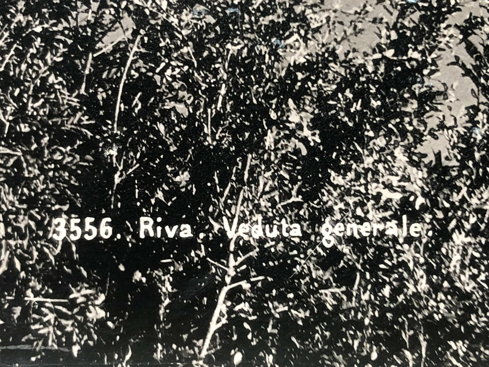 27x21cm large album photo around 1890 Riva on Lake Garda in Italy photo