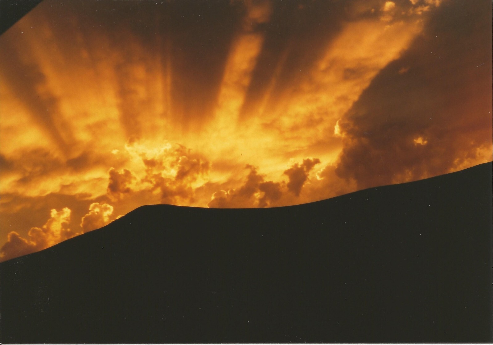 Photograph Art Print