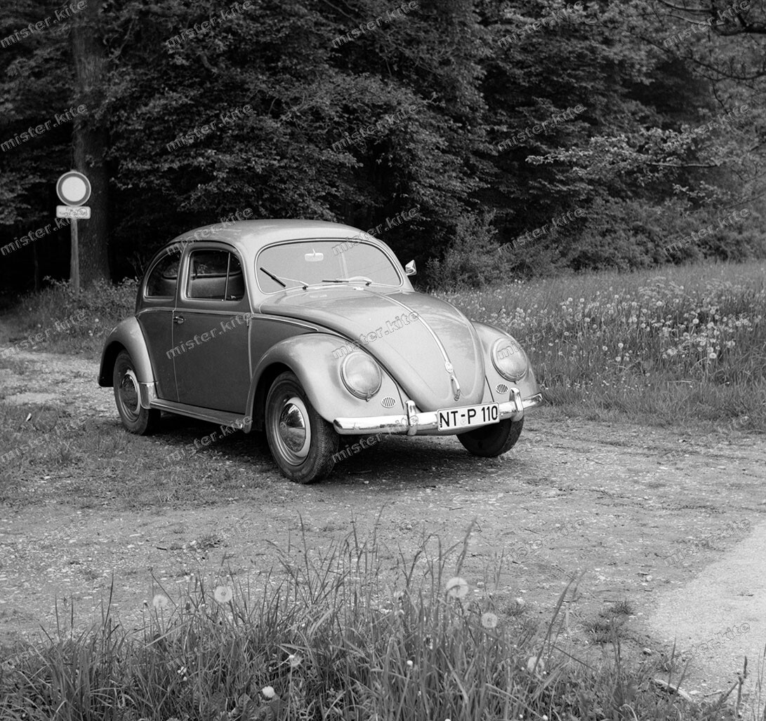 Negative-Volkswagen-Beetle-VW-Betle-Automotive-Automotive-9