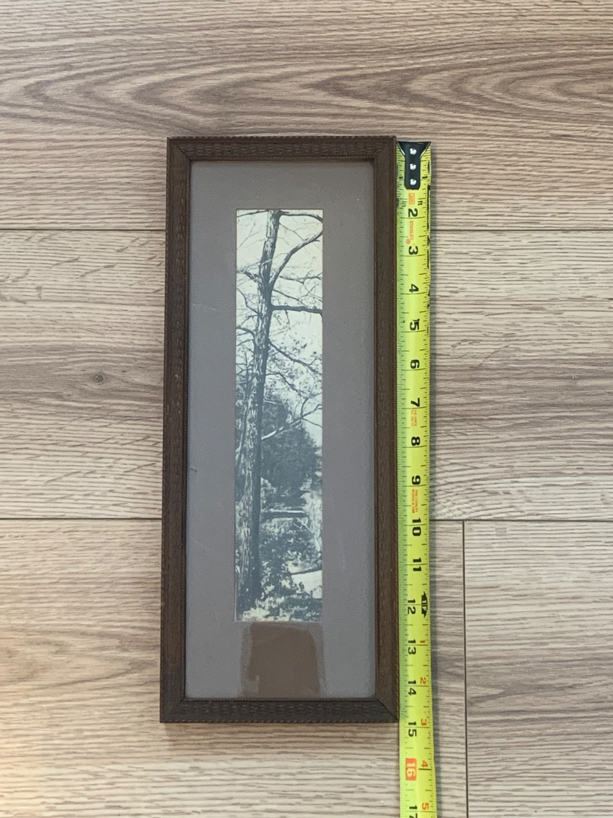 Early 20th Century Pictorialist Winter Tree Silver Gelatin Photograph