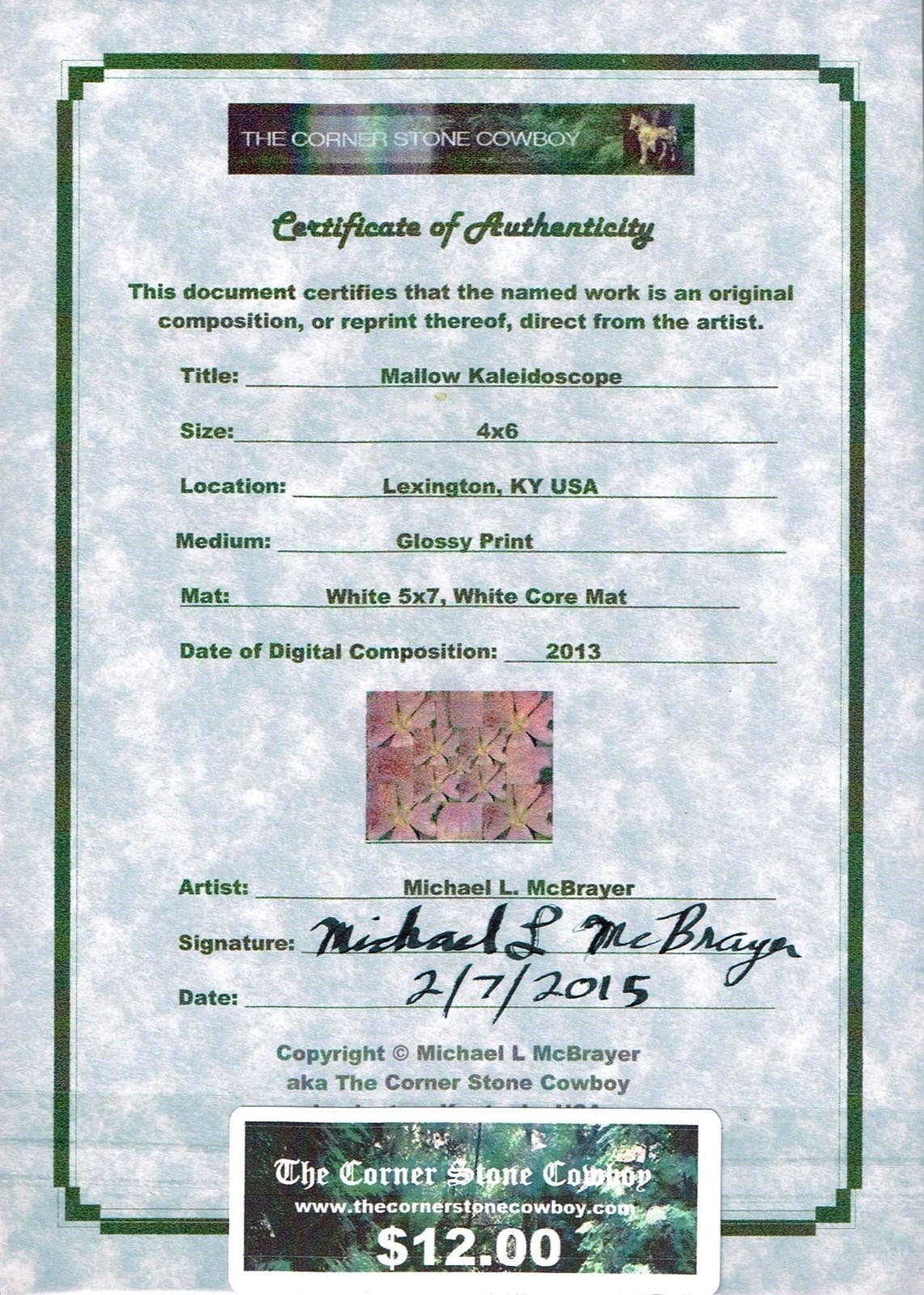 Mallow Kaleidoscope, 4×6 Abstract Floral Photo, Unframed 5×7 White Matted Print