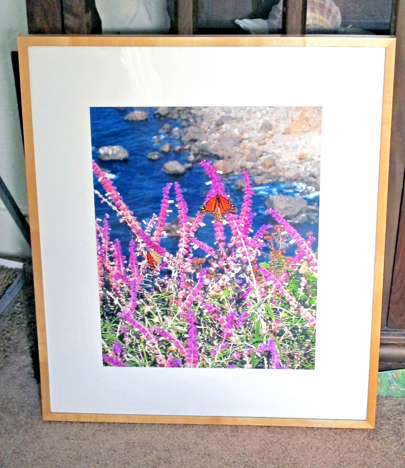 Color Photo Image 24.5″ x 29″ Framed & Matted “Ragged Point Monarchs”