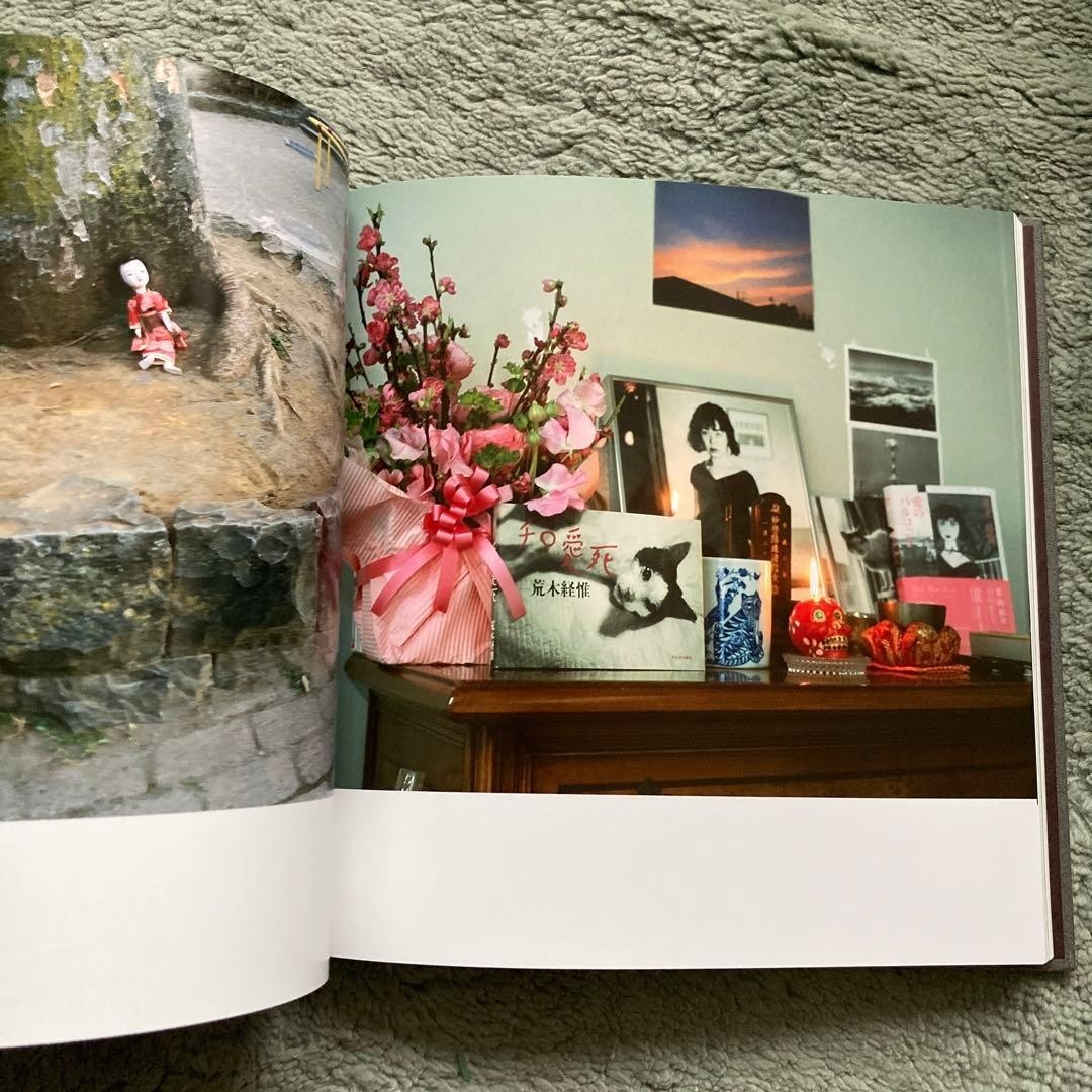 Rare Not For Sale Nobuyoshi Araki Tokyo Bojo Guimet Museum Catalog Photobook