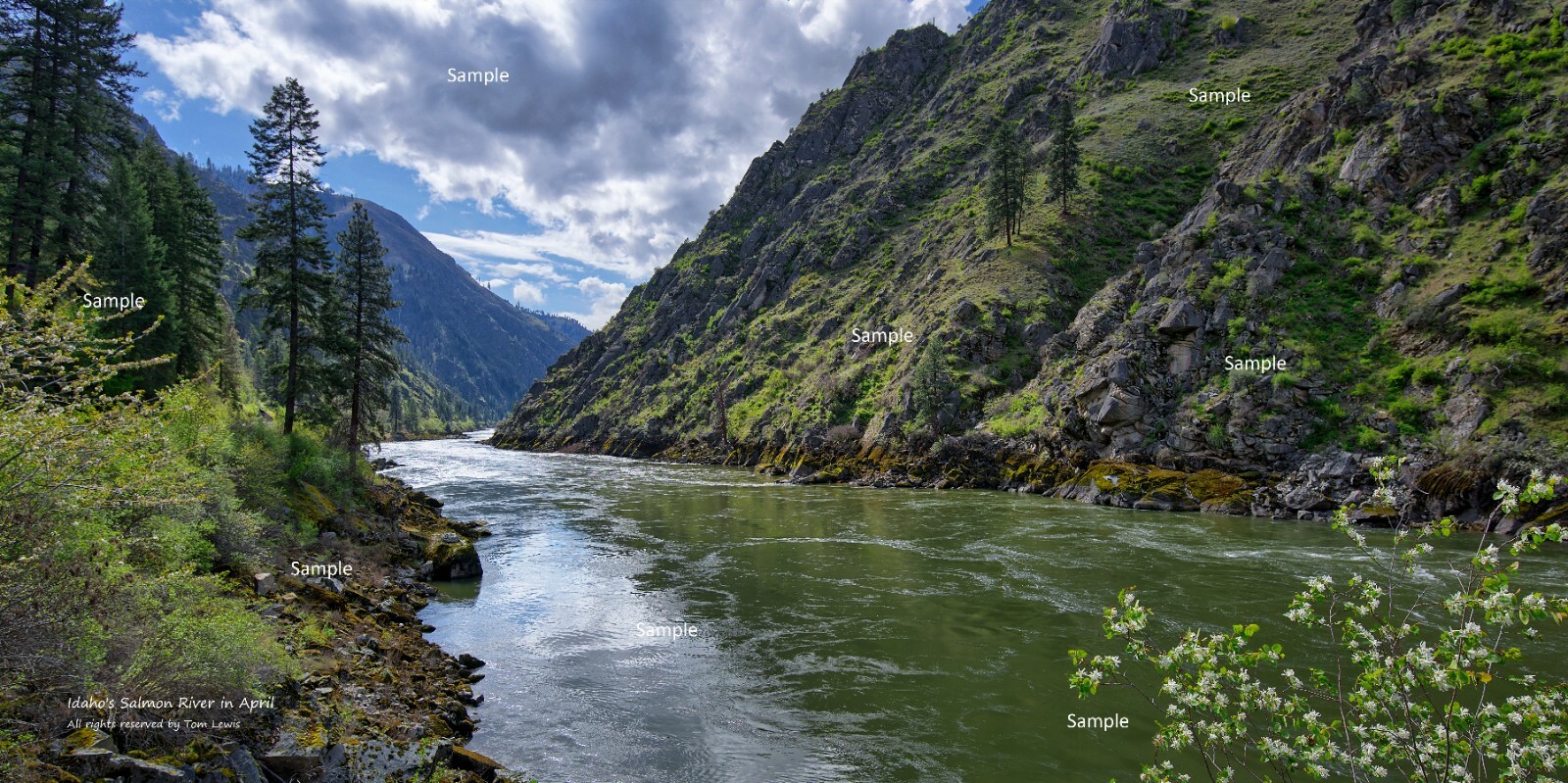 Salmon River Canyon in April Riggins Idaho Photo Poster Print SR17