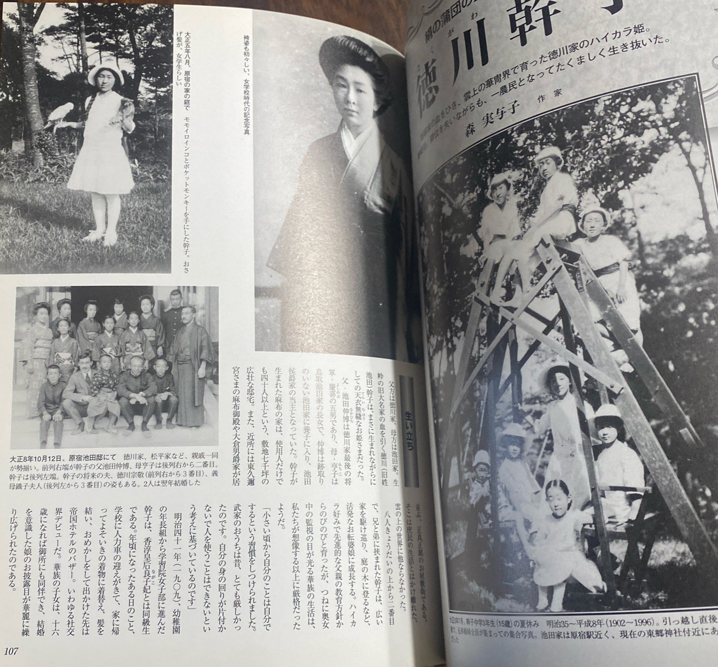 Bizintyou “美人帖” Bakumatu Meizi Taisyou Photo Book Japanese Used