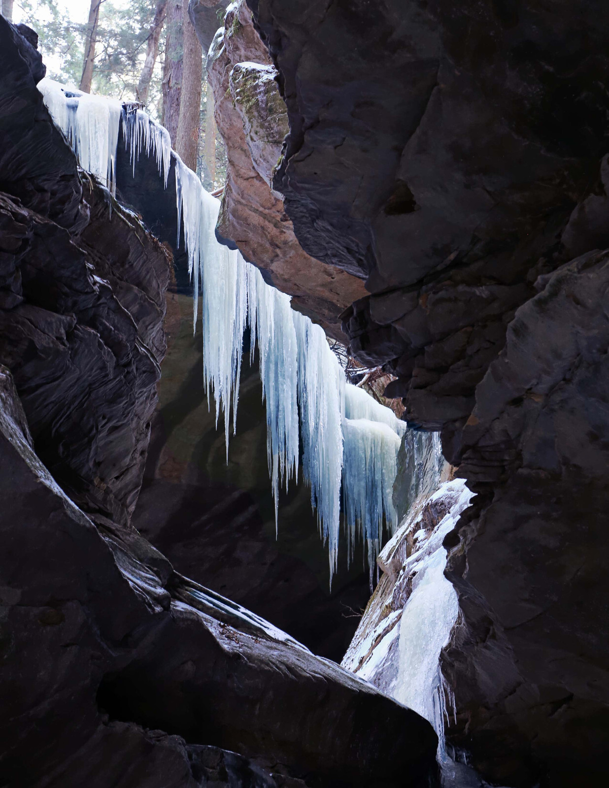 LANDSCAPE 8.5×11 or 13X19 COLOR BORDERLESS GLOSSY PRINT (FREE SHIPPING)