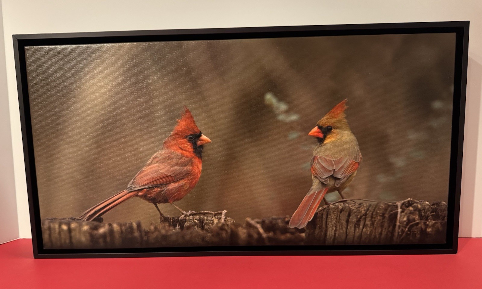 Northern Cardinals 2 Birds ~ Photo on Canvas by Tim DePuydth Photography