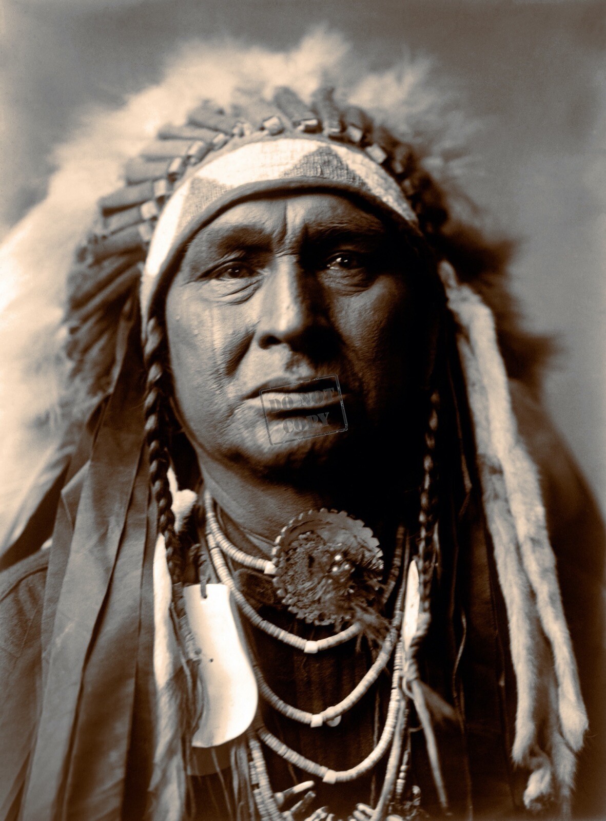 Edward Curtis White Man Runs Him, Apsaroke Giclee Fine Art Repro Open Edition