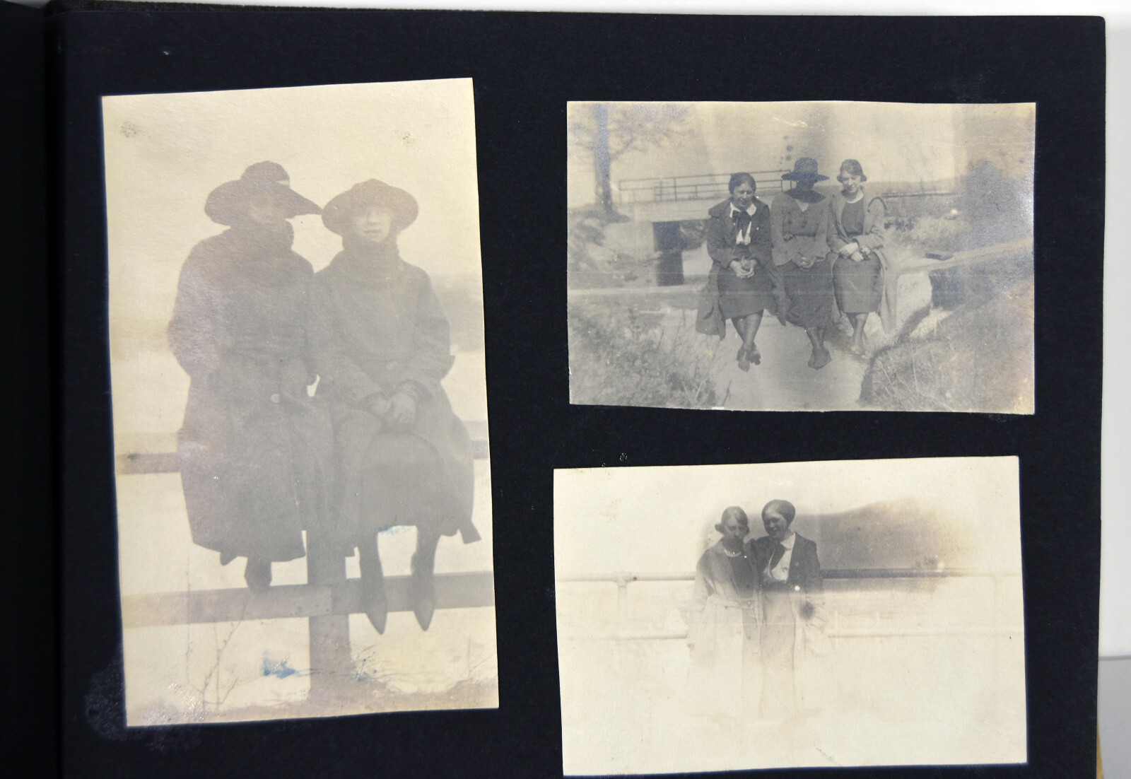 Antique Photo Album PA Conneaut Lake Pennsylvania Nurse Pets Horses Women