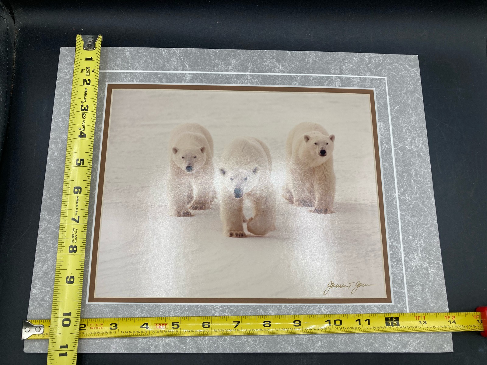 James T Jones Signed Polar Bears Photo, Matted