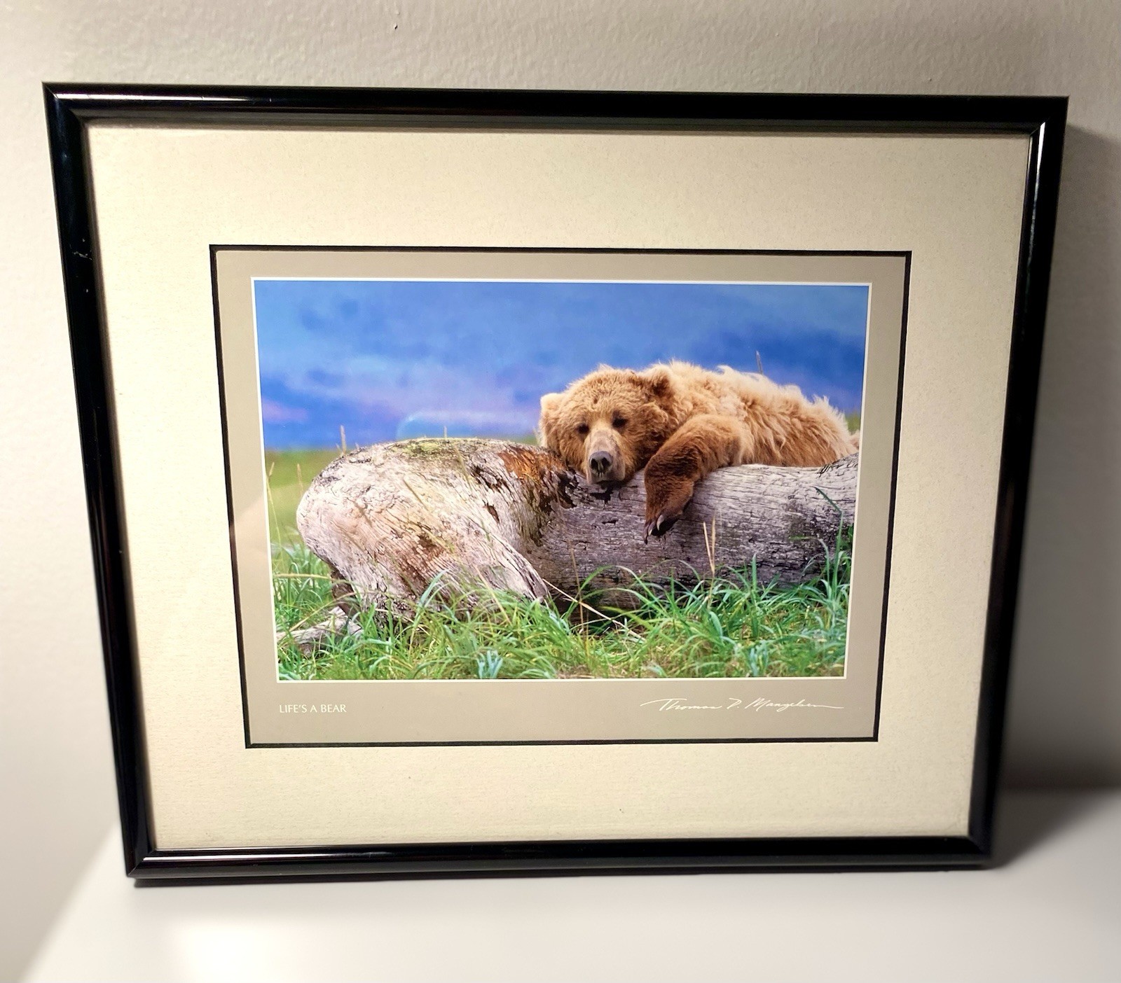 Thomas D. Mangelsen Life’s A Bear – Brown Bear Signed Framed Matted Print