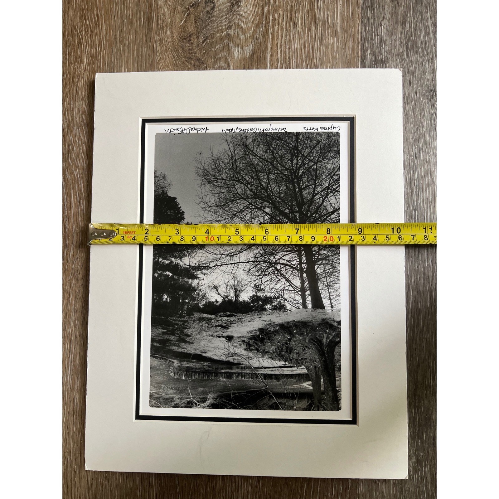 Michael A Smith Photograph Art 11×14 B&W Signed Cypress Knees Bellingrath garden