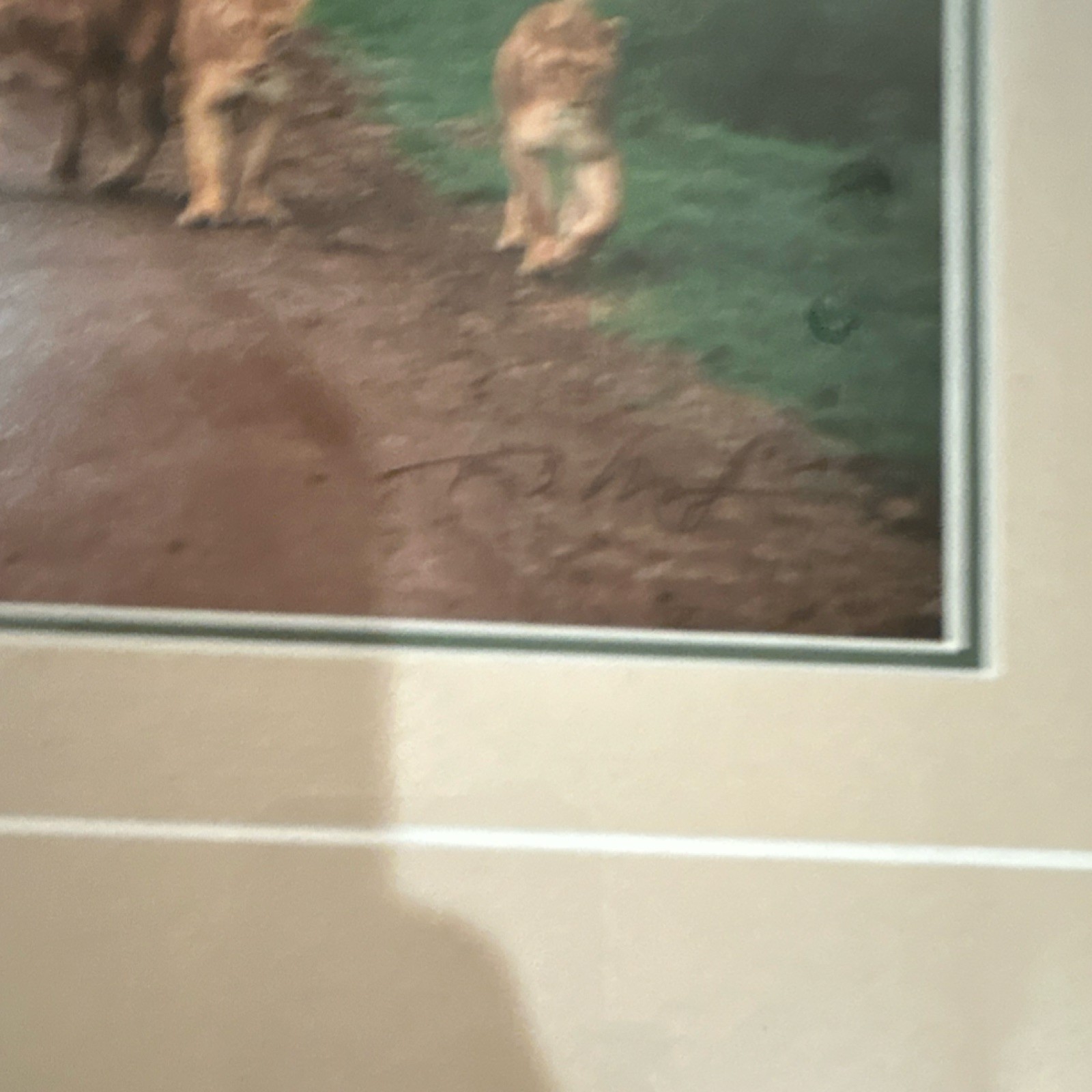 Thomas Mangelsen “Changing Lanes” signed limited edition framed color photo