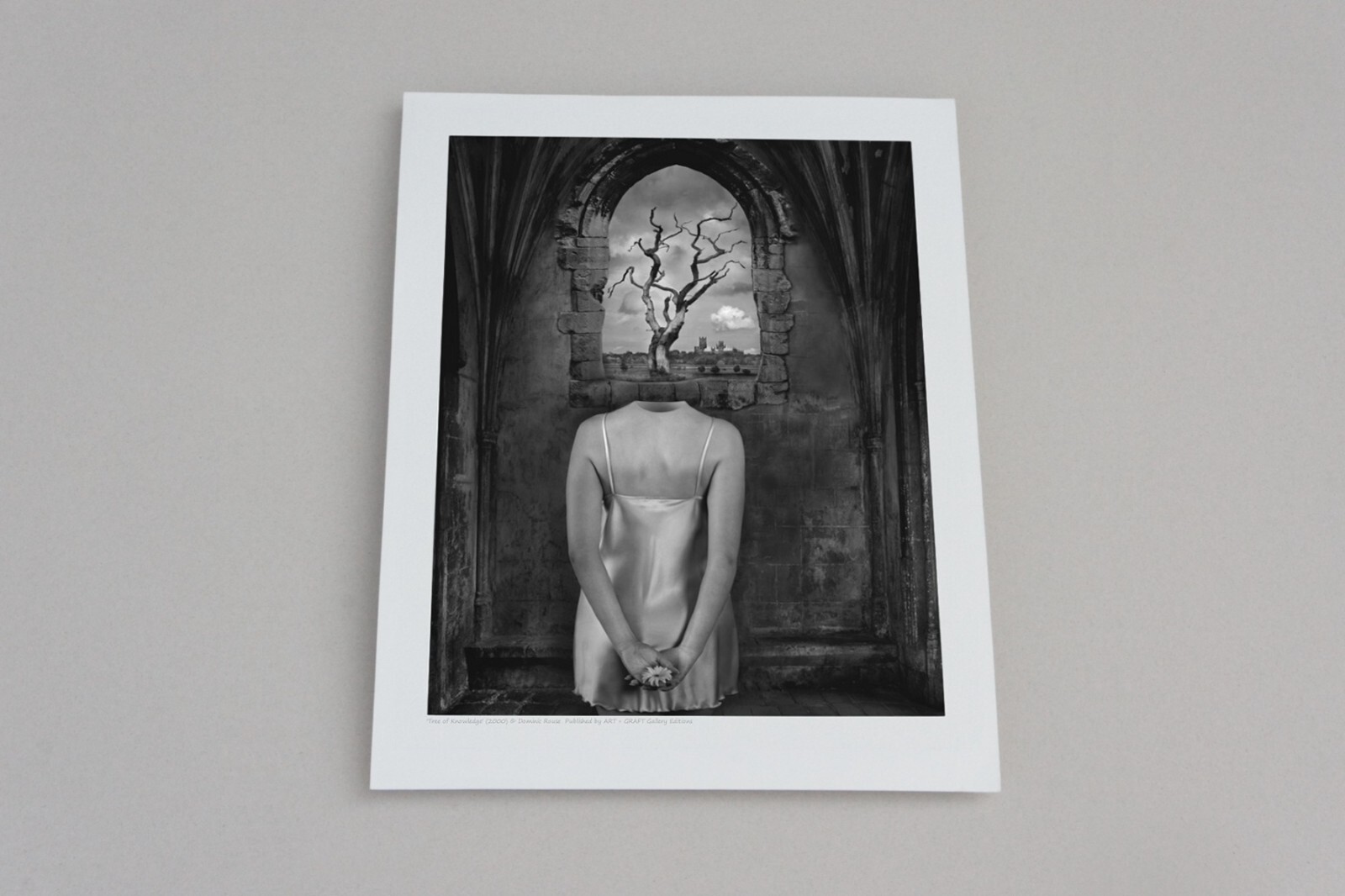 Fine Art B+W Photography Signed Ltd Edition SURREAL Tree of Knowledge in AD 2000