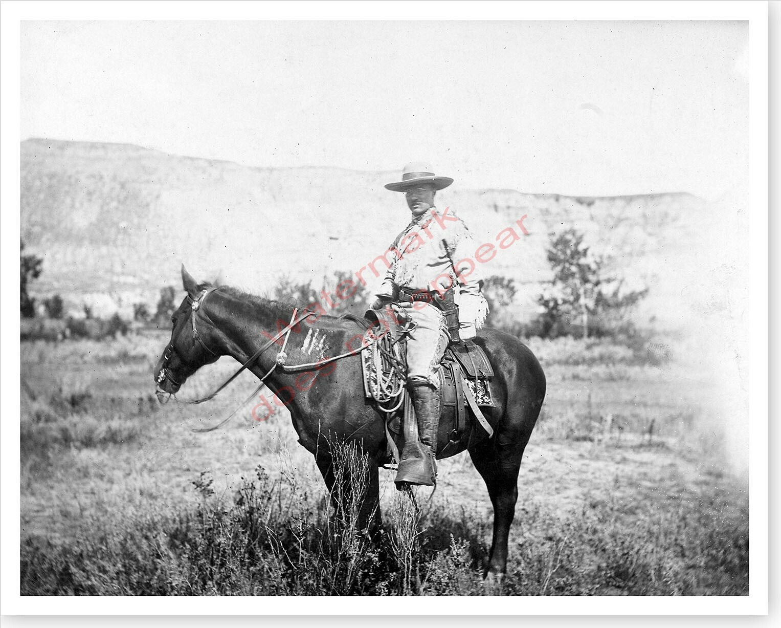 1885 President Teddy Theodore Roosevelt On Horse North Dakota Badlands Photo