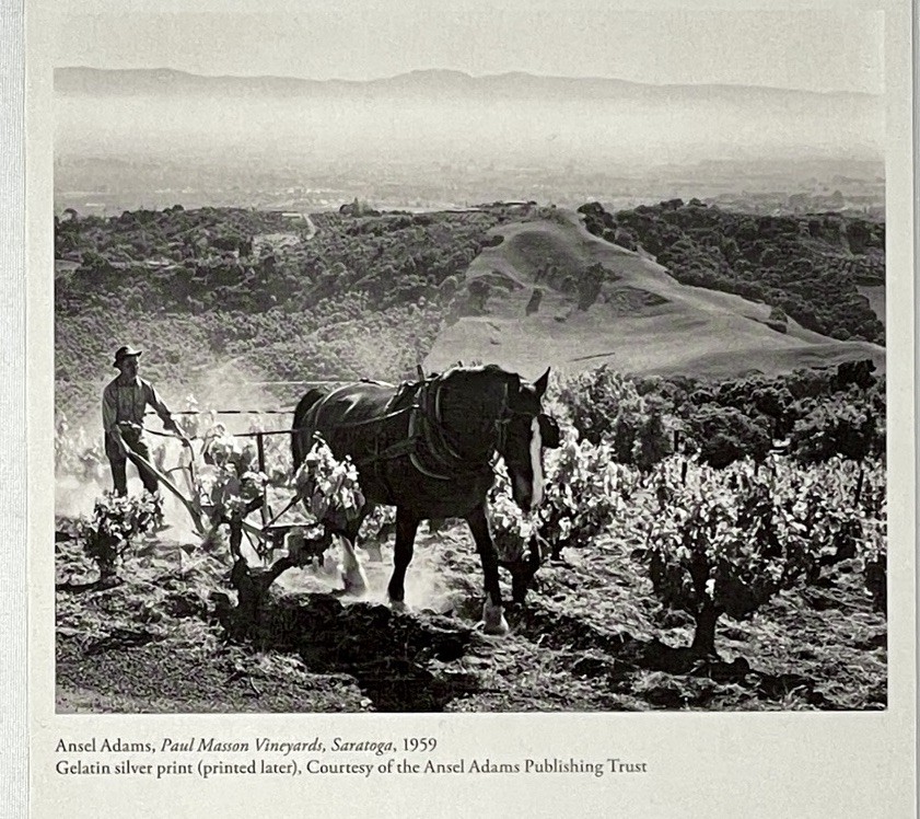 Ansel Adams – Paul Masson Vineyards, Saratoga, 1959 Group Show Announcement Card