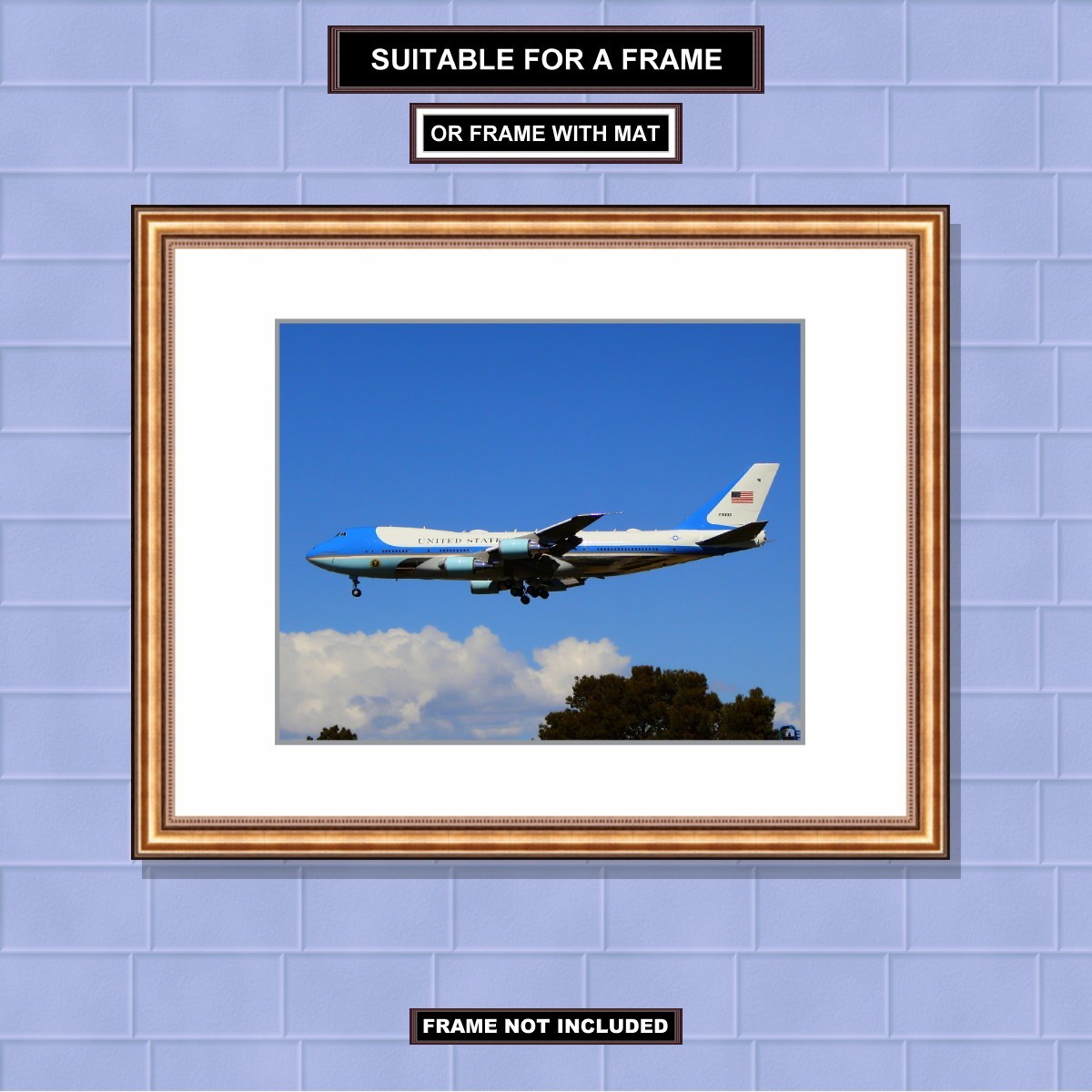 POTUS 8×10 inch Air Force One (SAM2900) Fine Art Unframed Photo Print AVAP1002