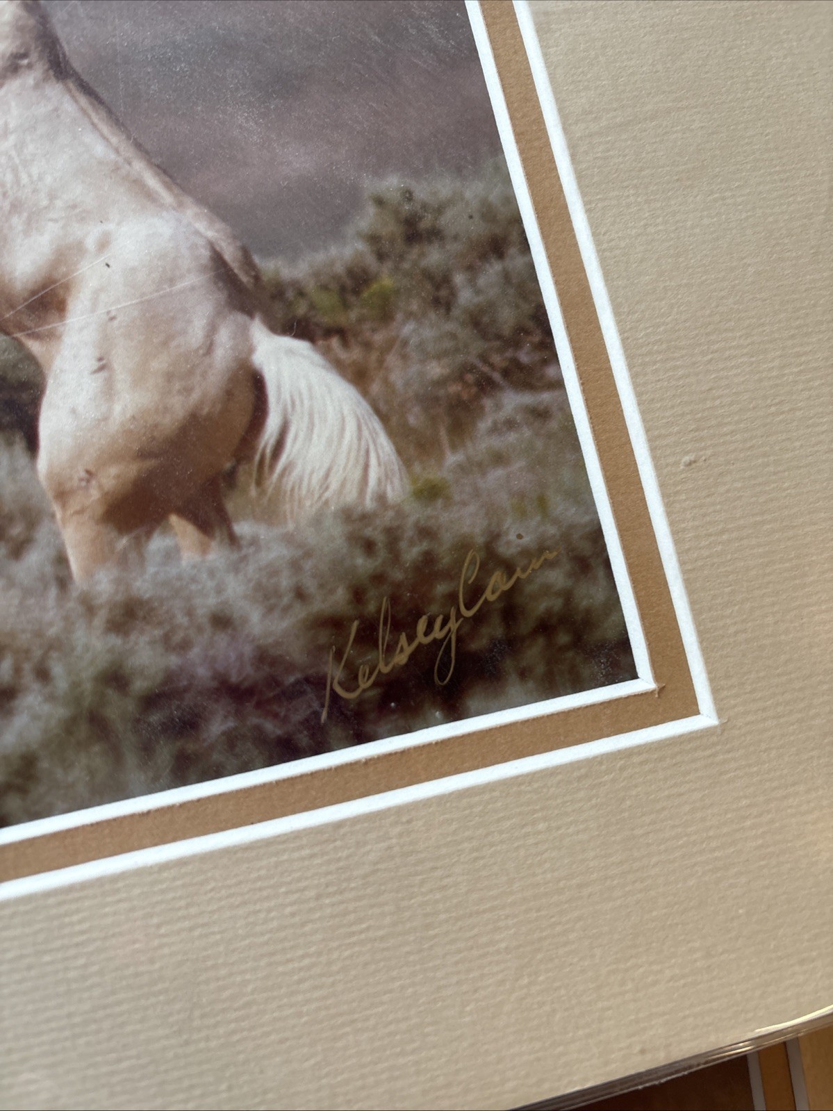 Kelsey Cain Photograph “Fighting Stallions” #146
