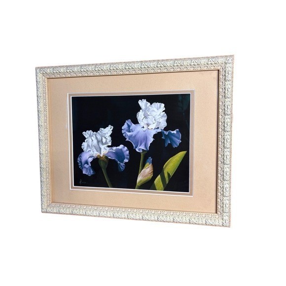 A. Bush Purple Irises Floral Art Print Photography Framed 15.5″ EUC GIFT Decor