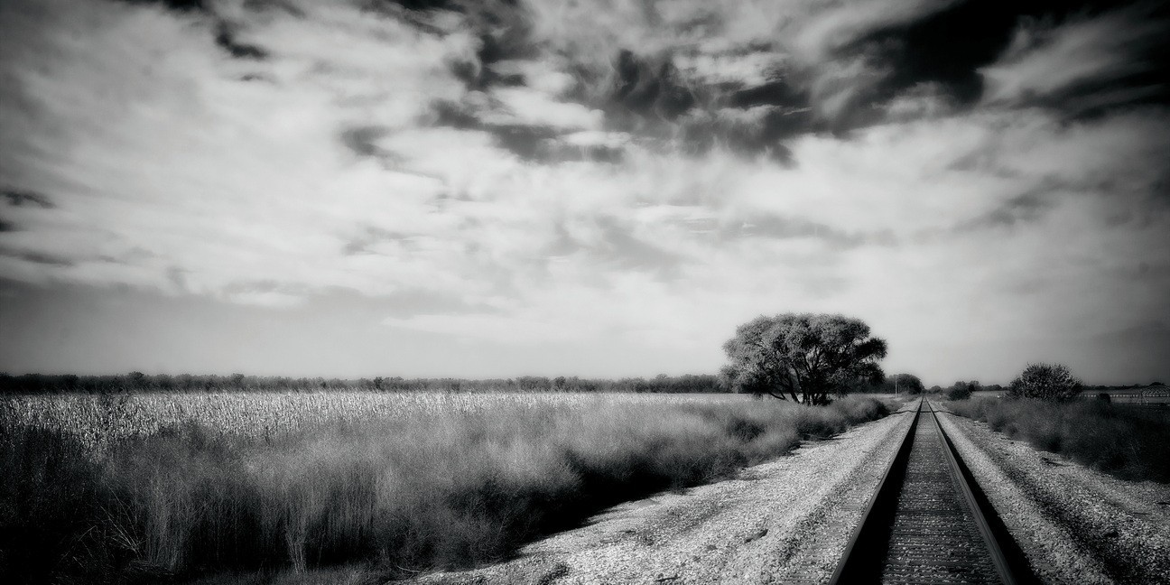 Fine Art Print, Black and White Photography, 9×18, Tracks, signed and numbered