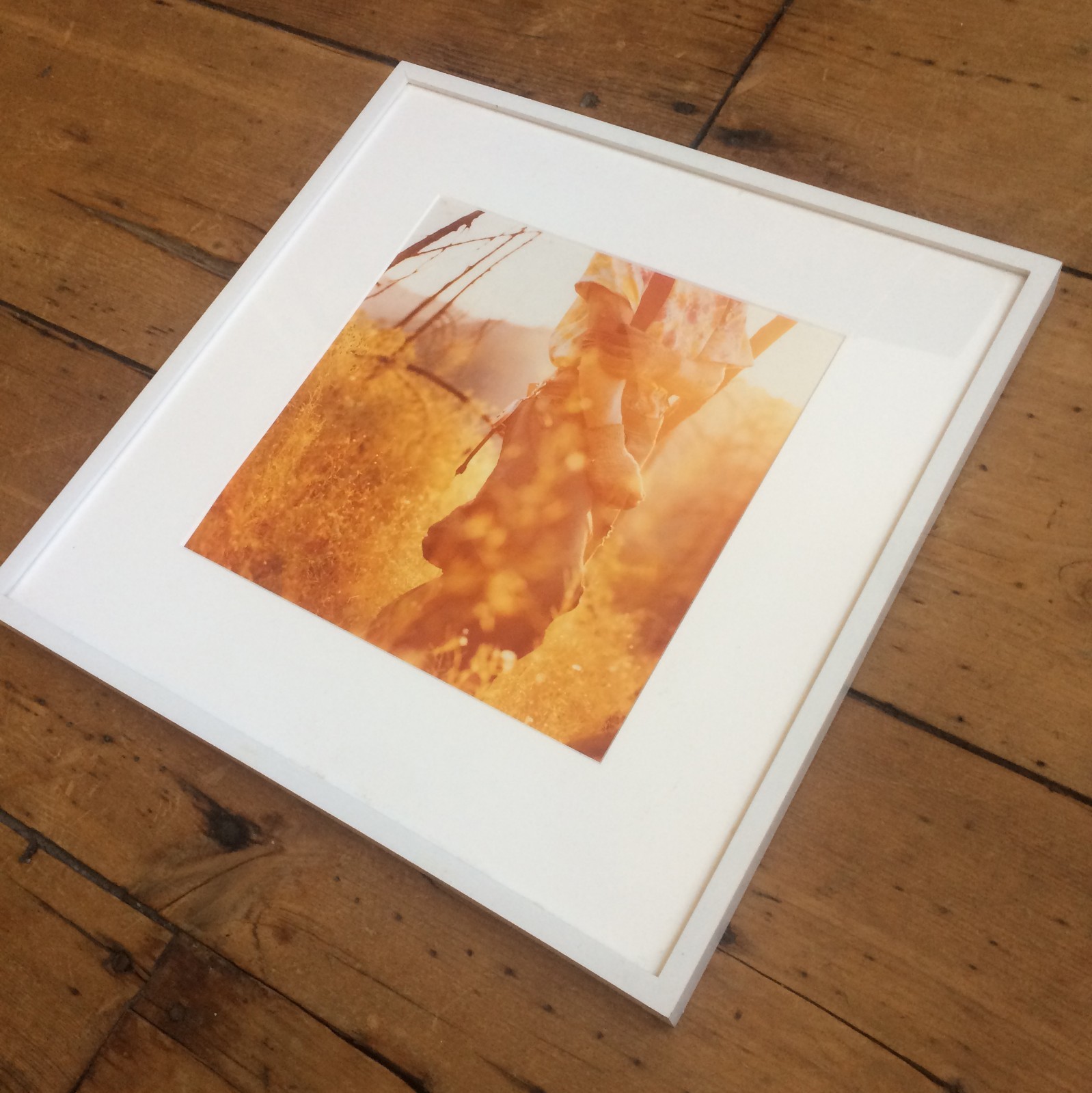 Christopher LaMarca Photograph from the Forest Defenders Series, Signed