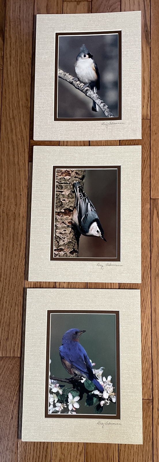 Greg Ledermann Originals Bird Photographs On Canvas Matted Numbered USA