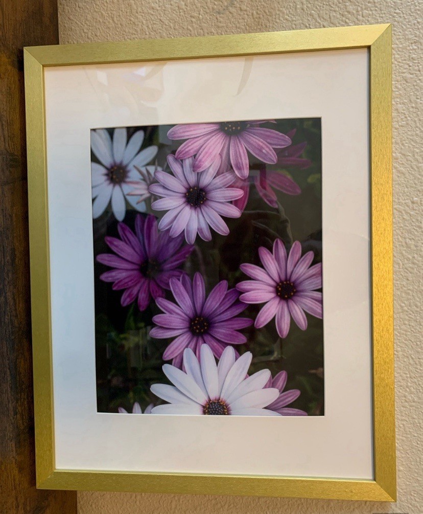 Purple and White Gold Framed Photograph Print