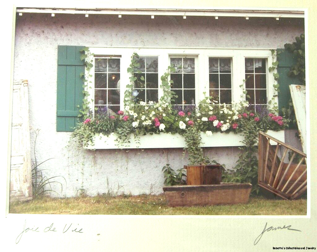 Art Photo “Joie de Vie” Window with Flowers by Paul C James Matted 5 x 7 inches