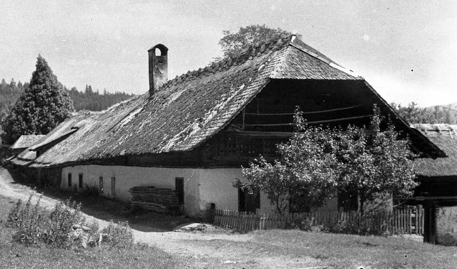 “Banernhaus Stmk” (Steiermark), farmhouse, Eduard PEZDIKA, vintage fine art nega