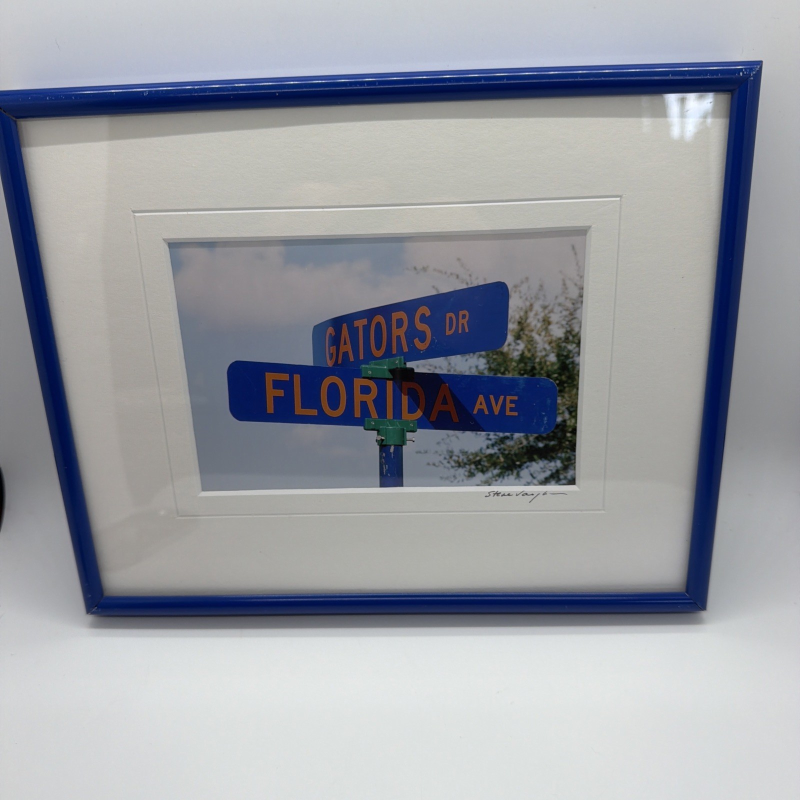 Steve Vaughn Fine Art Photography Size 4 “x 6 ” signed- Gators And Florida