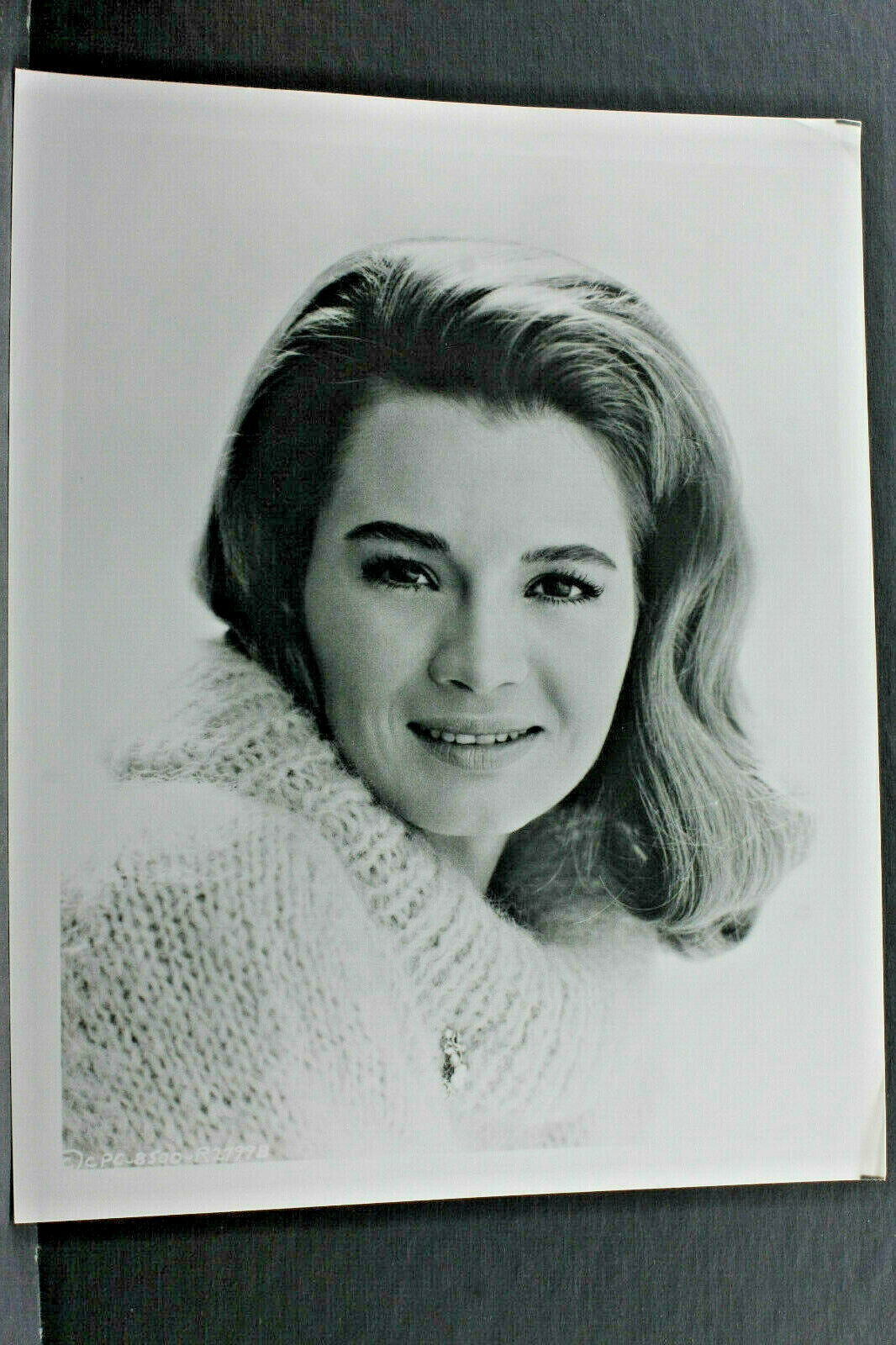 Angie Dickinson Head Shot – 8×10″ Photo Print-Vintage L1182A