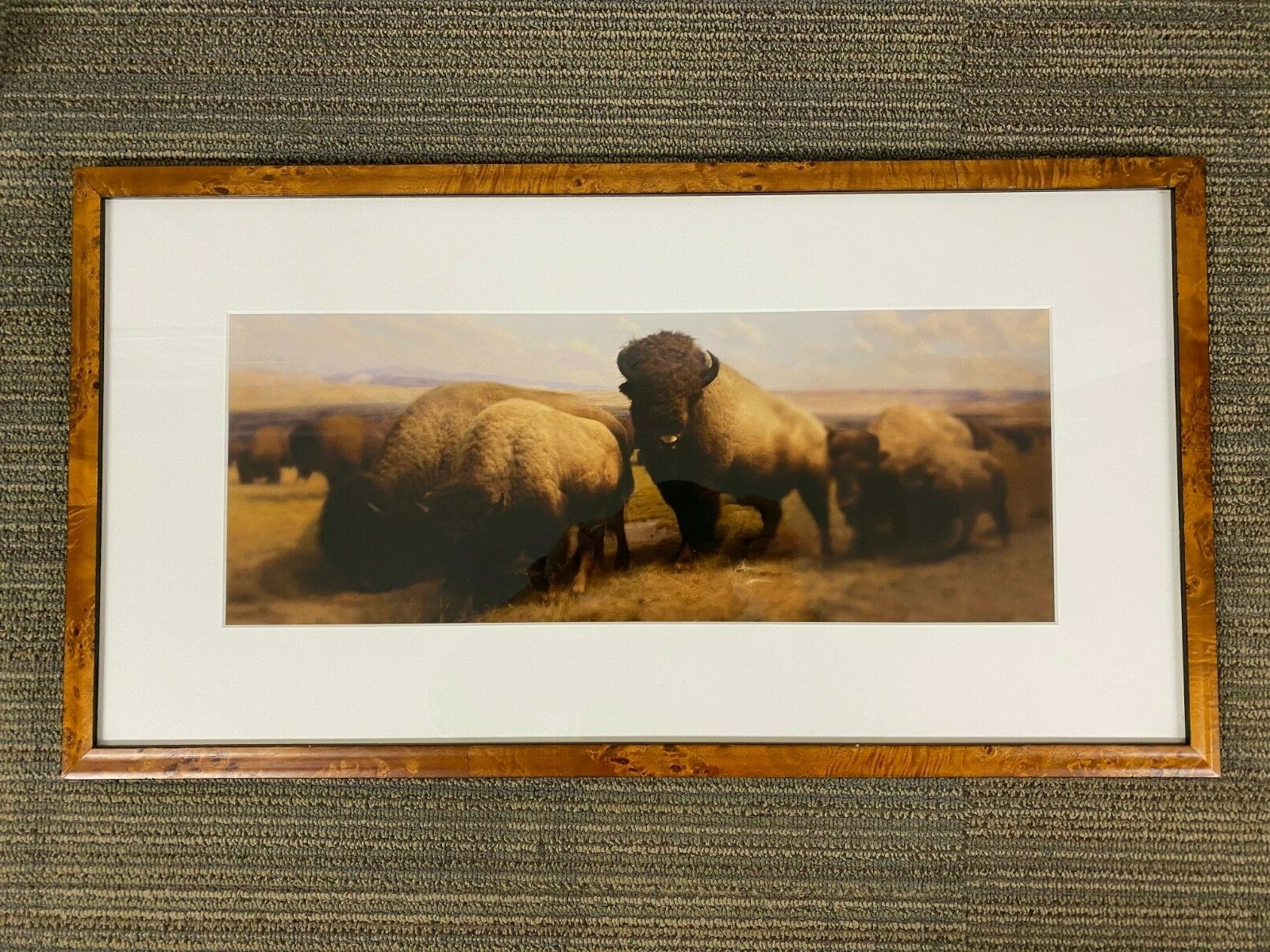 Jonathan Singer “Buffalo” 2006/2008 Edition 3/10 Inkjet Print in Wood Frame