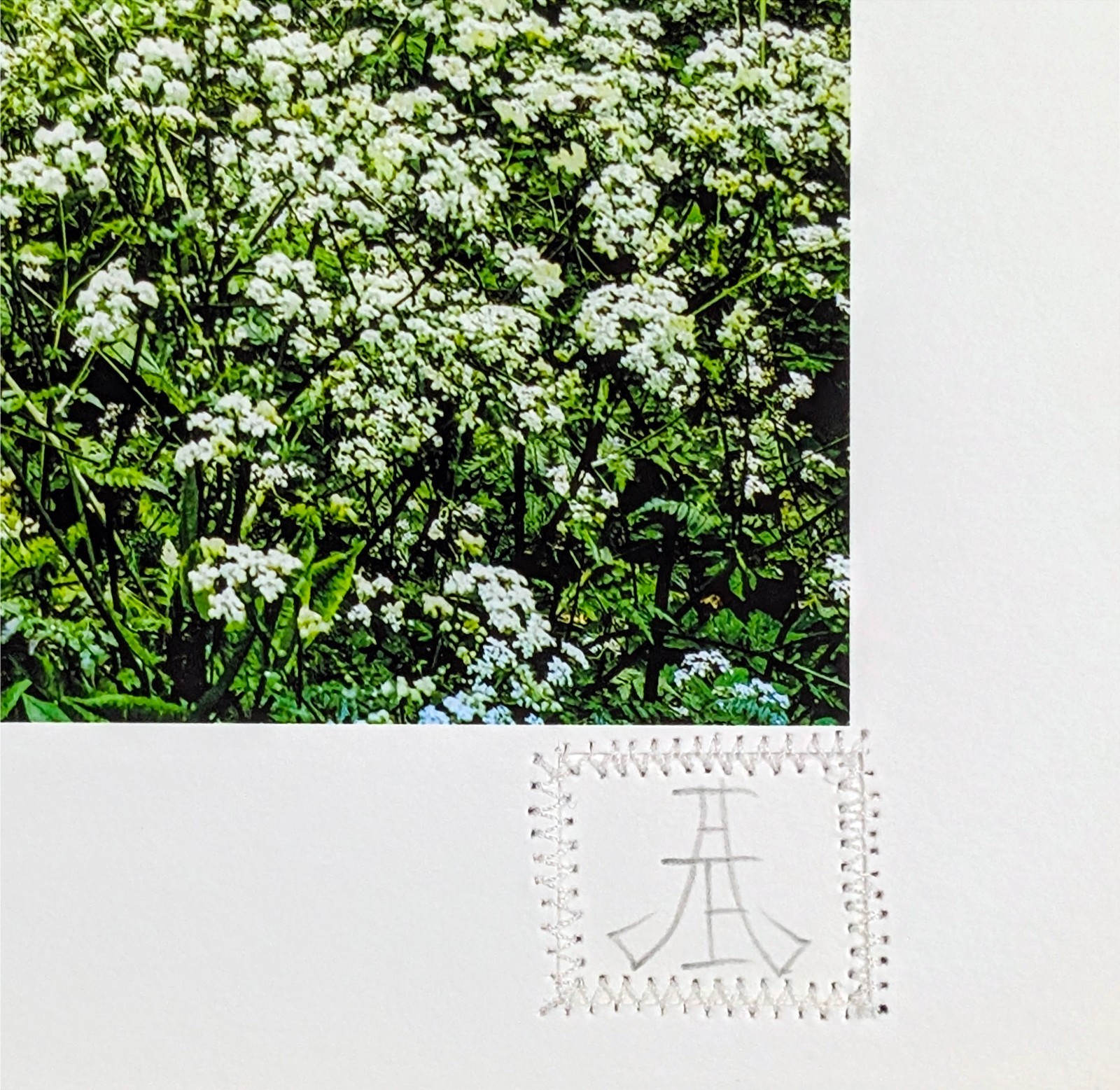 PixelPusher 9×12 Inch Archival Photography Print (Hahnemühle Paper) LD05 Park