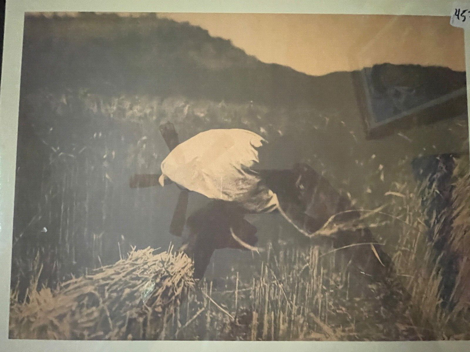 Edward Curtis The Apache Reaper 16″ x 12″ Print Native American Vintage EUC