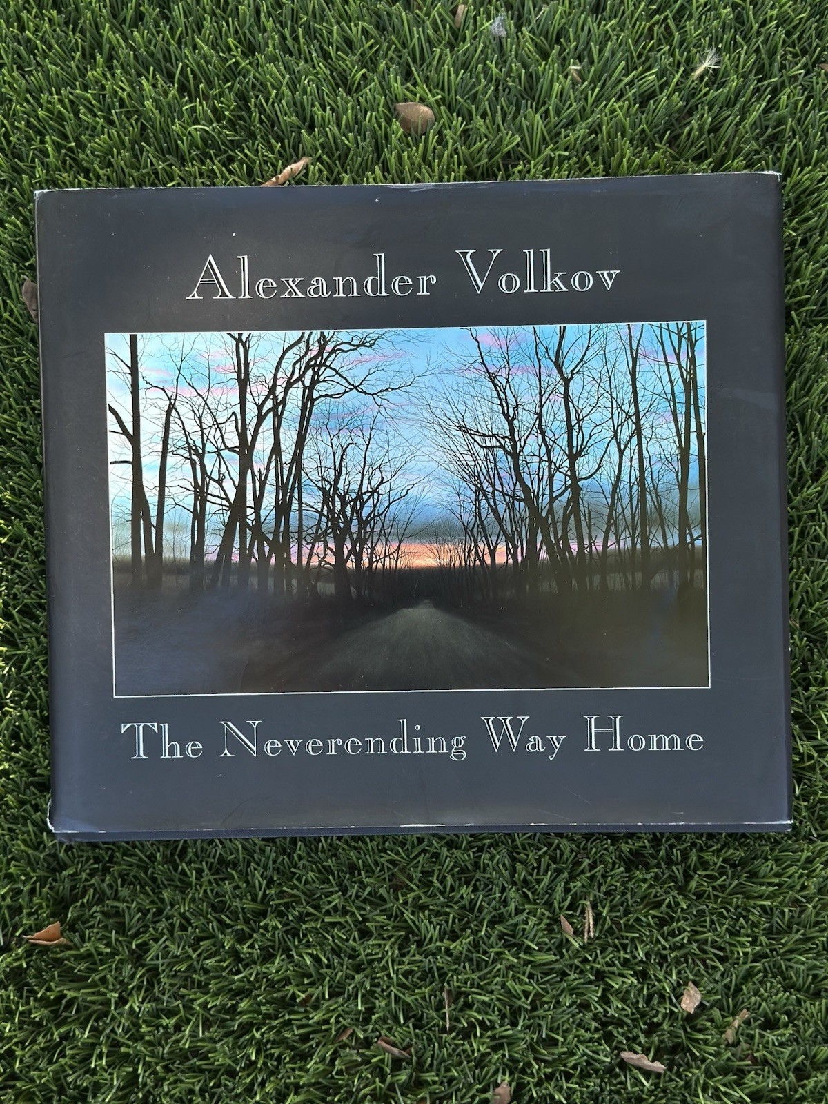Alexander Volkov The Neverending Way Home Hardcover Dust Jacket Art Book
