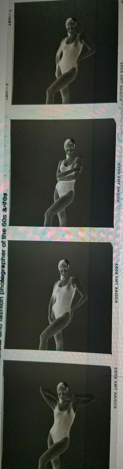 JUST IN! RARE From The lens of BERT STERN FOR VOGUE silver Gelatin Negative