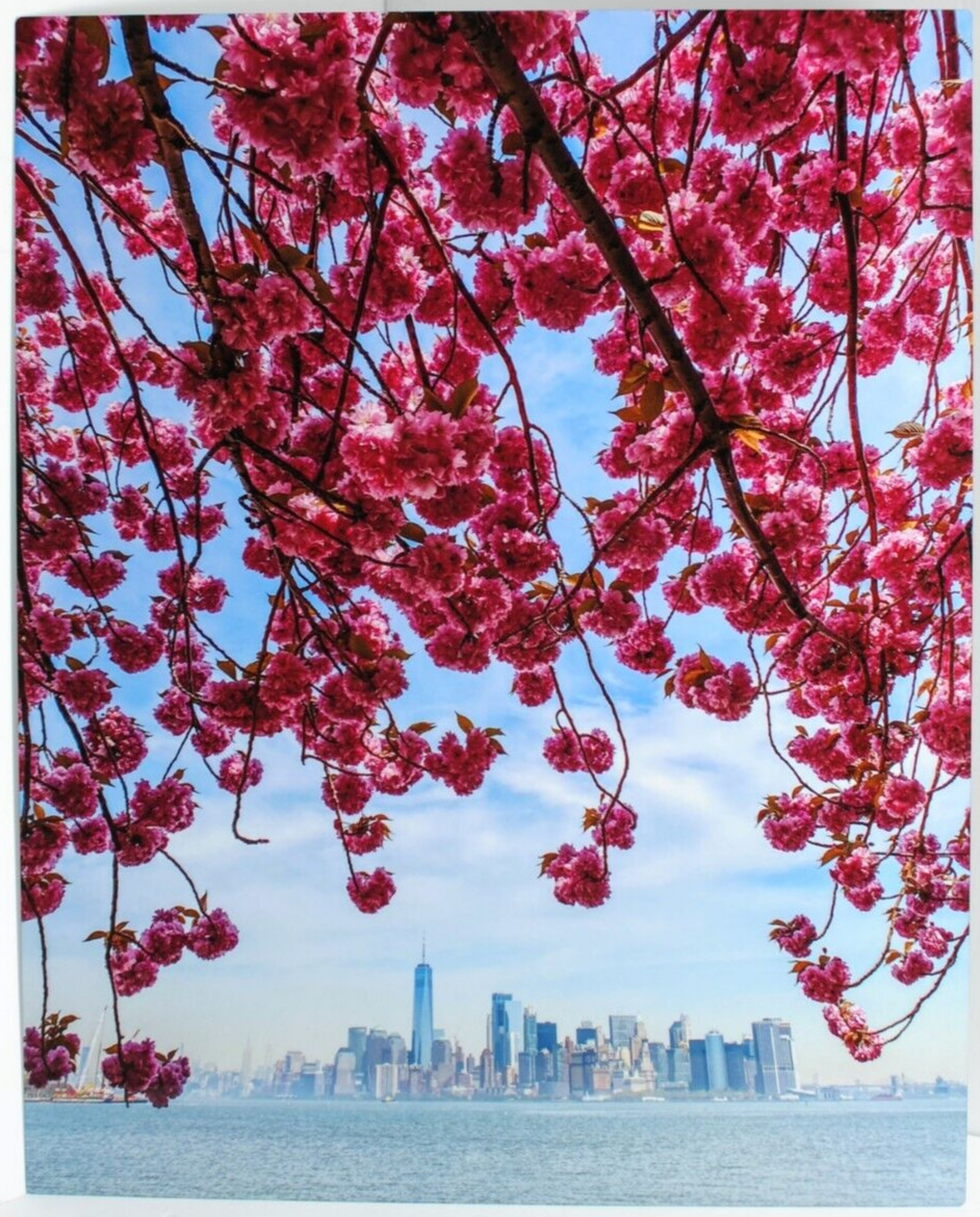 Metal Print Professional Photograph on Metal “New York Across the Bay” 16″ by 20