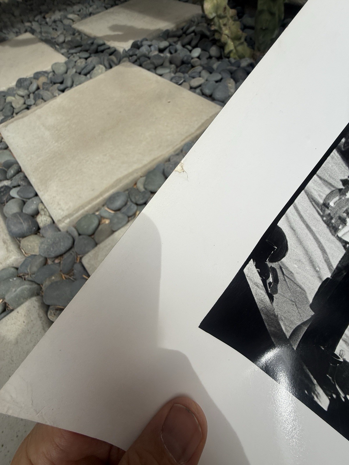 2 LARGE VINTAGE JIM MARSHALL PHOTOGRAPHS JOAN BAEZ DAVID HARRIS HAIGHT ASHBURY