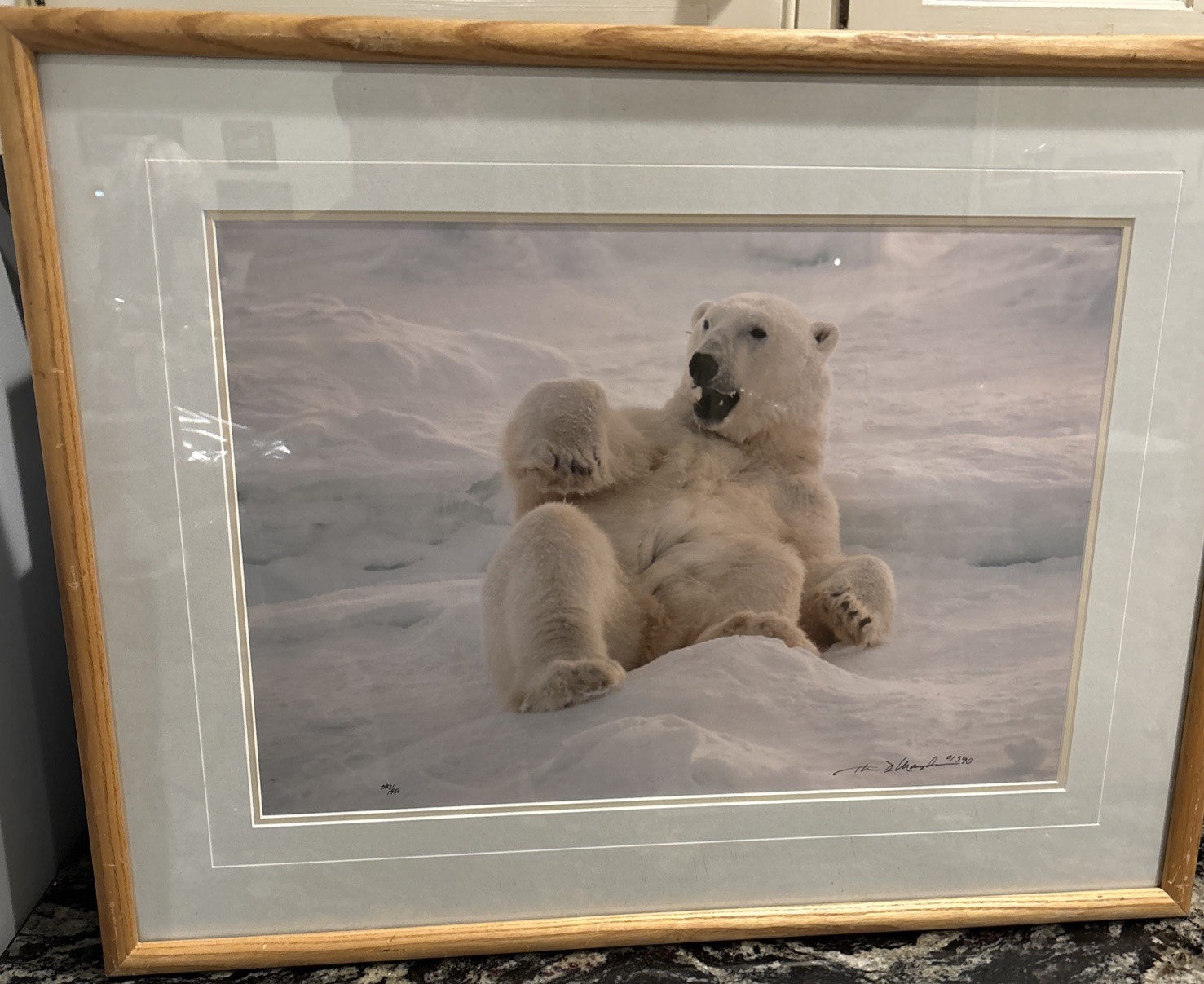 Thomas D. Mangelsen Polar Bear Limited Edition, 597/950, Signed & Framed