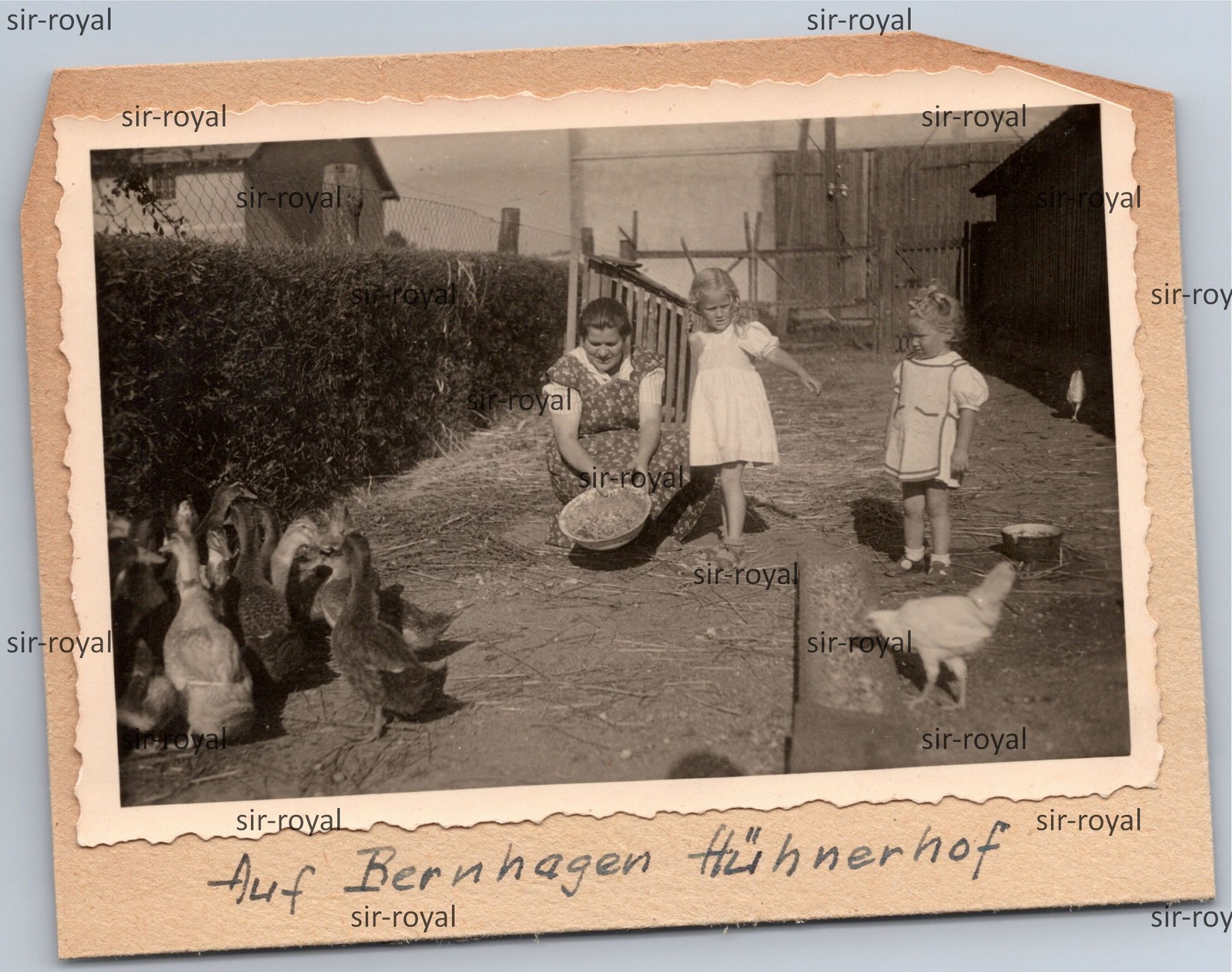 Bernhagen in Pomerania 1940s – Chicken Farm Farm – Ostrzyca Poland – Photo 10x8cm