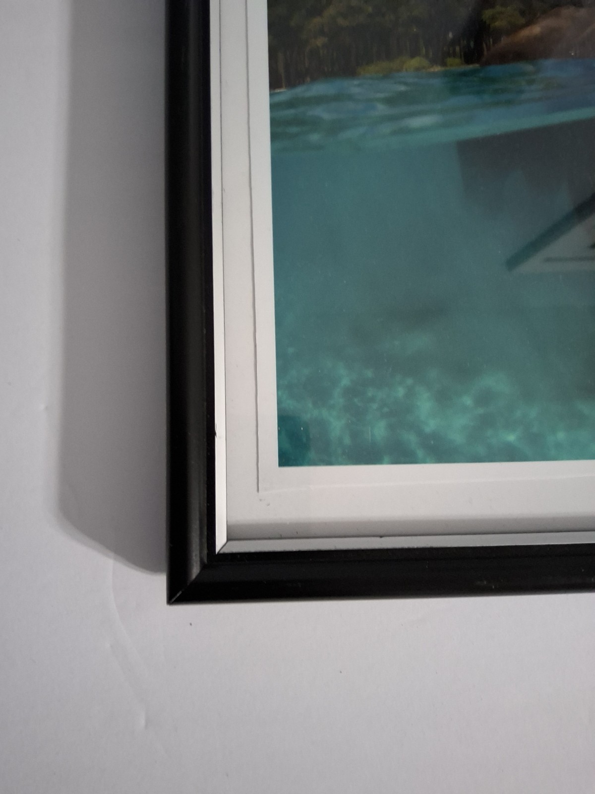 Swimming Elephant photo signed Framed